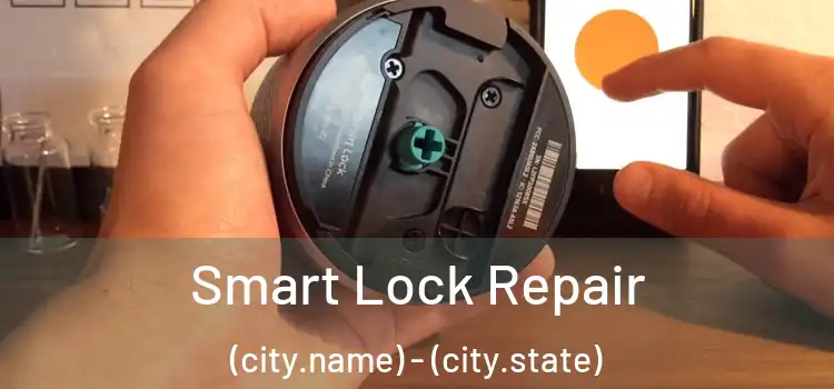  Smart Lock Repair (city.name) - (city.state)